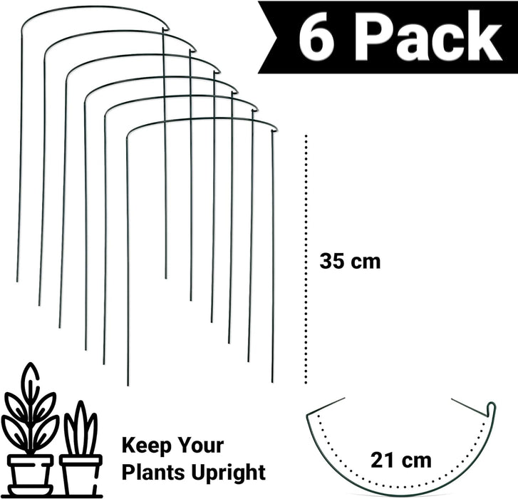 6pk Plant Support